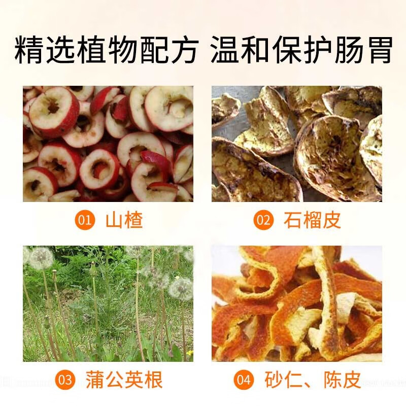 大幸药品 小喇叭 正露丸 100粒