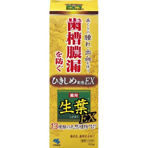 【代买】小林制药生叶EX药用牙膏100g 预防齿槽浓漏